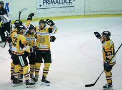 mastini varese hockey