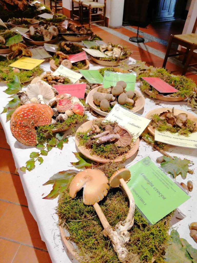 Pranzo di Autunno contrada San Magno Legnano