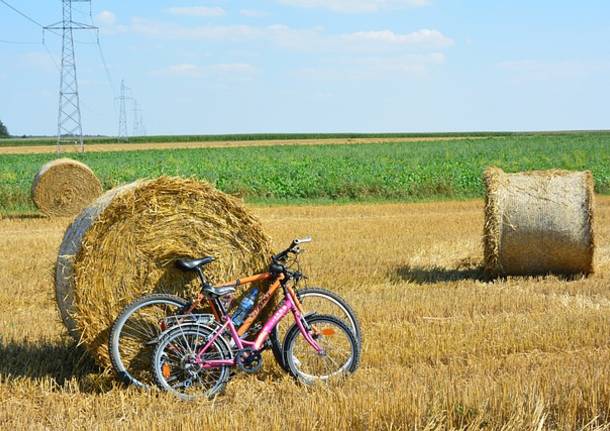 campagna