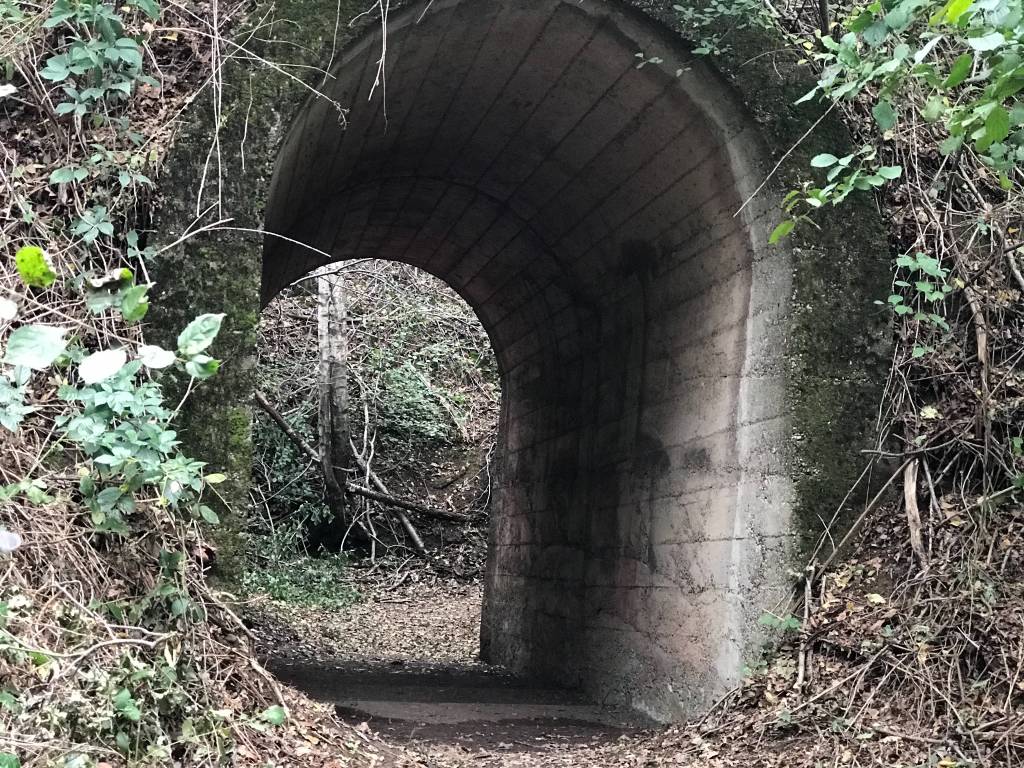 Ville aperte in Brianza: un vero successola visita all'ex Polveriera nel Parco delle Groane
