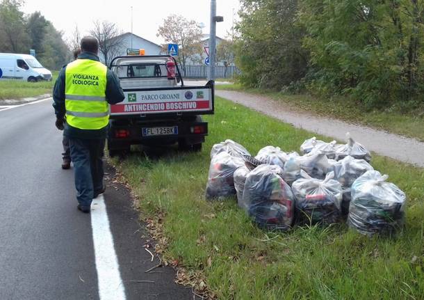 Volontari all'opera al Parco delle Groane