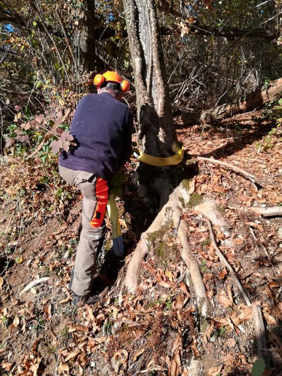 Cocquio, la riapertura dei sentieri