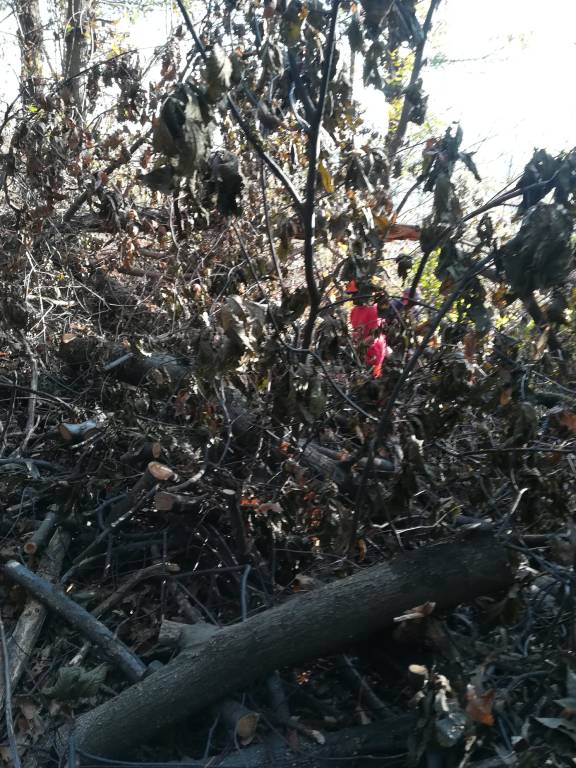 Cocquio, la riapertura dei sentieri