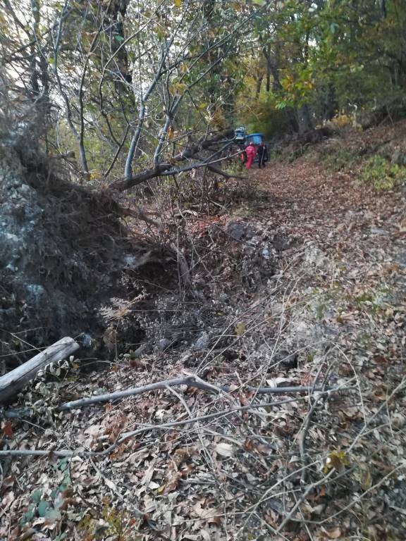 Cocquio, la riapertura dei sentieri