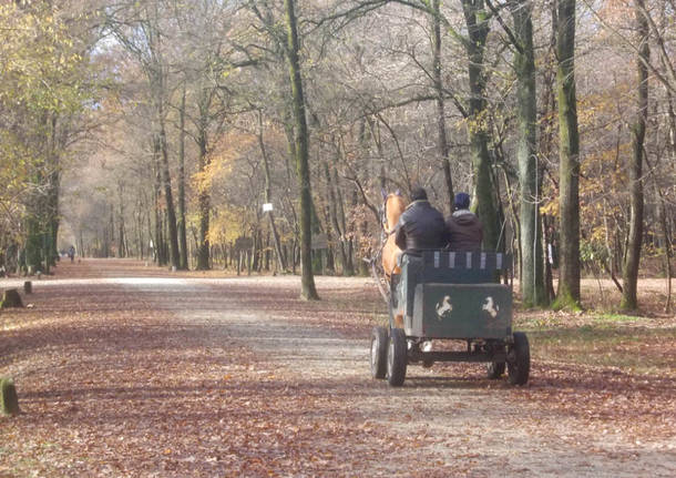 Autunno in Via Gaggio