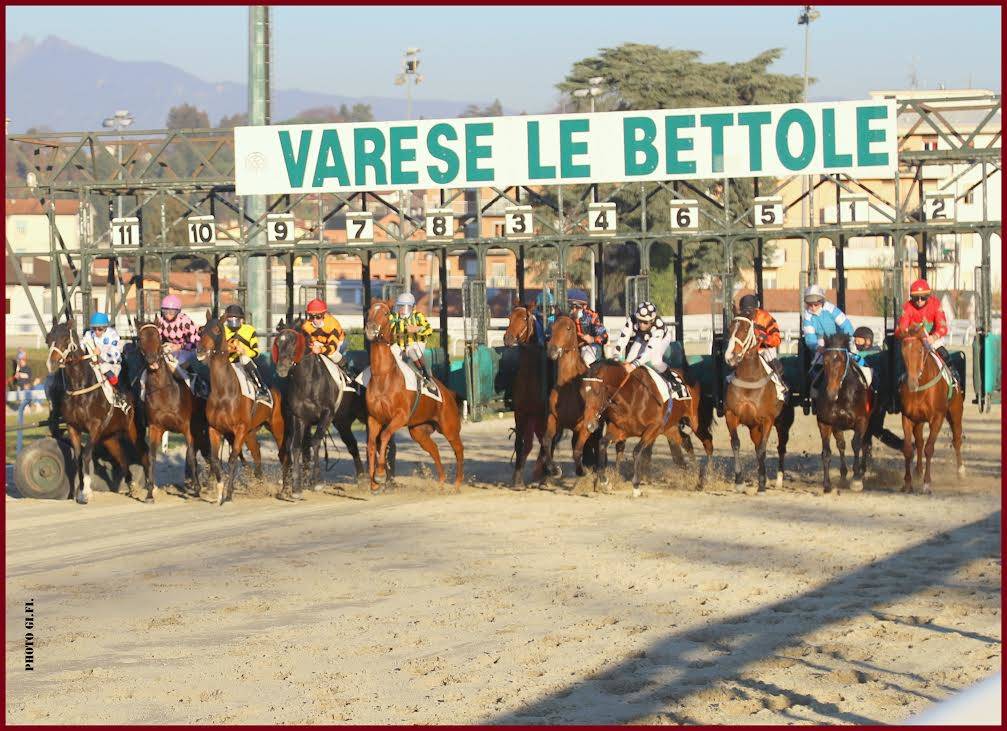 Mercoledì di corse alle Bettole