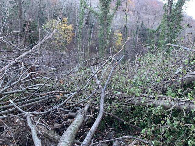 La devastazione alle pendici della Roca di Orino