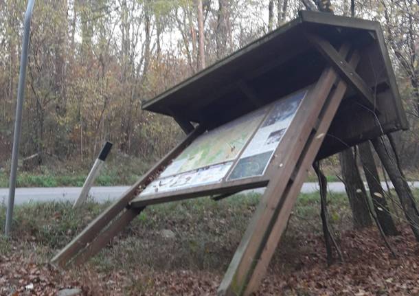 Degrado al Parco del Ticino