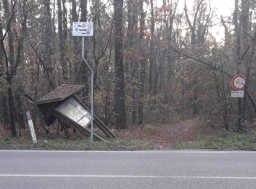 Degrado al Parco del Ticino