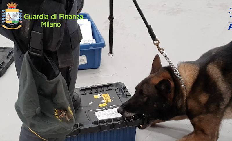 droga pacchi postali guardia di finanza