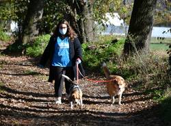 Emergenza covid. Leidaa: "Al fianco delle persone in difficoltà con la gestione dei propri animali"