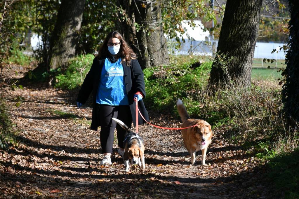 Emergenza covid. Leidaa: "Al fianco delle persone in difficoltà con la gestione dei propri animali"