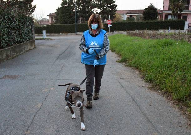 Emergenza covid. Leidaa: “Al fianco delle persone in difficoltà con la gestione dei propri animali”