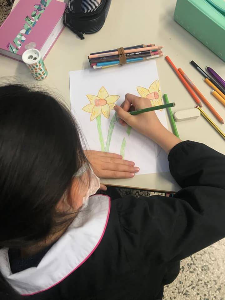 Fiori a scuola contro la violenza sulle donne