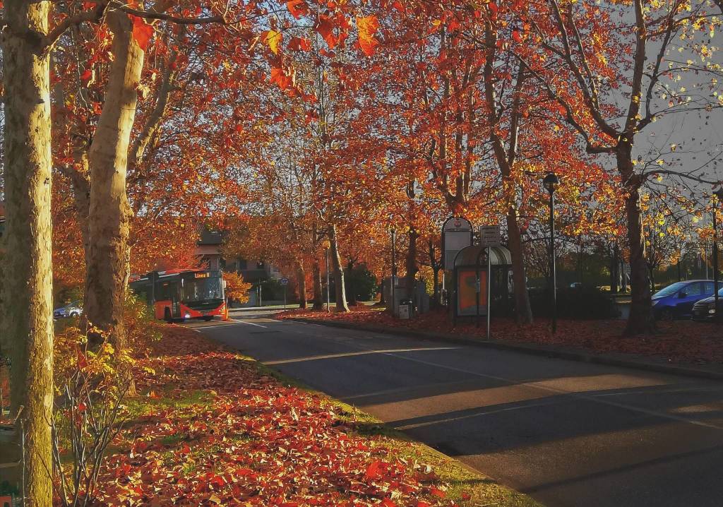 foto del giorno novembre 2020