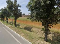 gallarate generico