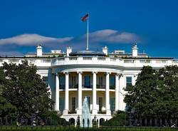Generica 2020