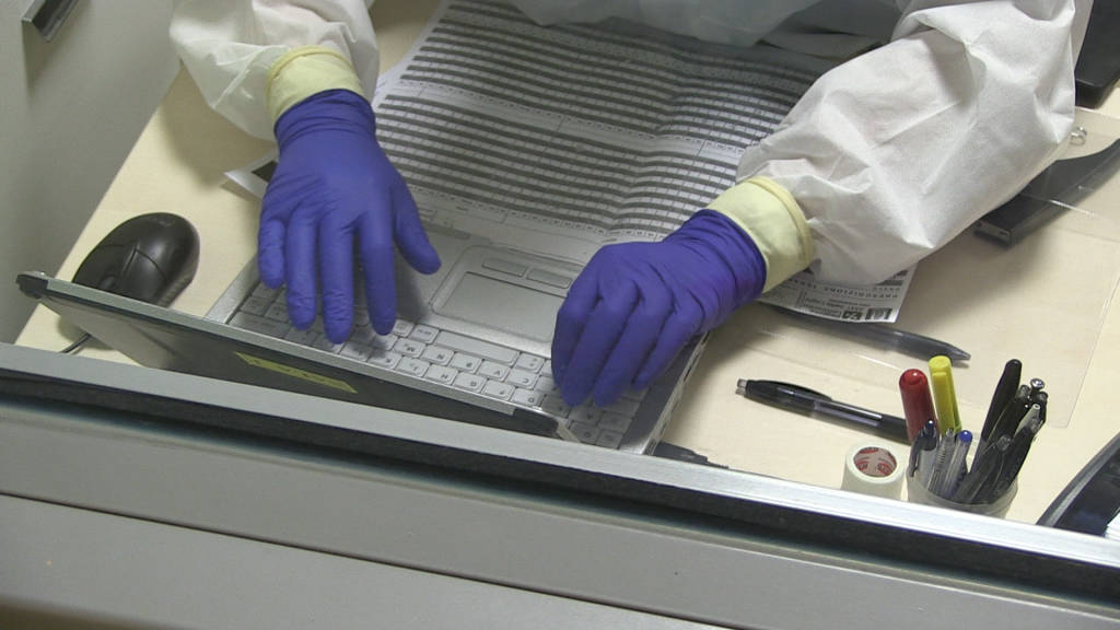 covid coronavirus 
