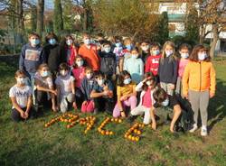 Kaki Tree Project, la scritta "Pace" nel giardino della scuola primaria di Morosolo