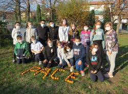 Kaki Tree Project, la scritta "Pace" nel giardino della scuola primaria di Morosolo