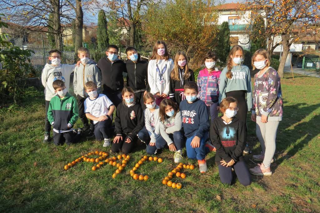 Kaki Tree Project, la scritta "Pace" nel giardino della scuola primaria di Morosolo