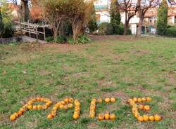 Kaki Tree Project, la scritta "Pace" nel giardino della scuola primaria di Morosolo