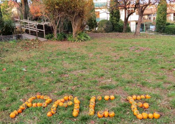 Kaki Tree Project, la scritta “Pace” nel giardino della scuola primaria di Morosolo