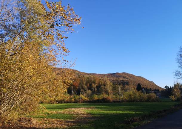 I colori dell’autunno sulla via Francisca