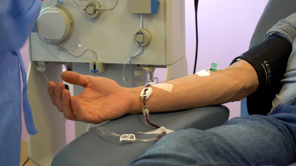 La ricerca sul Plasma Iperimmune a Varese