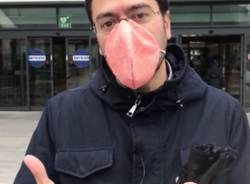 Lorenzo Radice