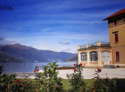 Luino Delia Ilona