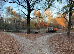 parco la fornace albizzate lavori manutenzione