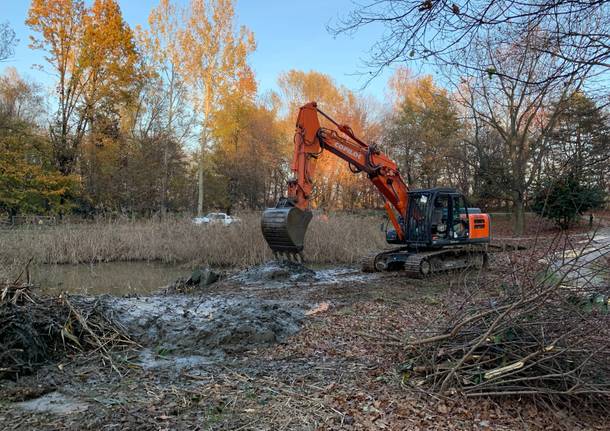 parco la fornace albizzate lavori manutenzione