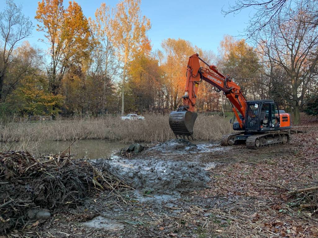parco la fornace albizzate lavori manutenzione