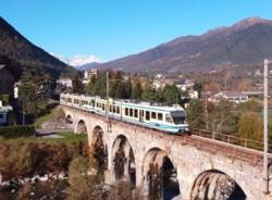 Treno Foliage