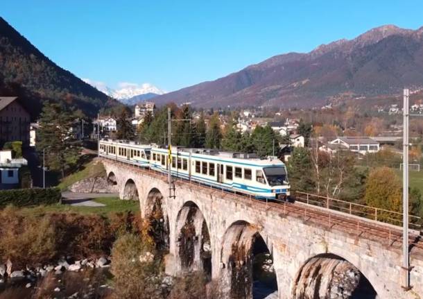 Treno Foliage