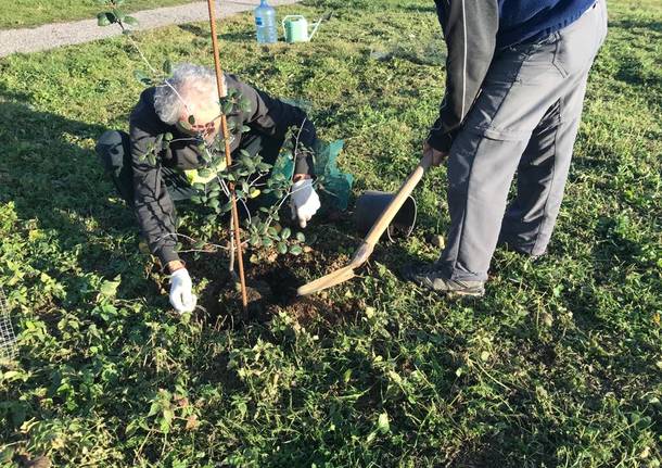 Uboldo, la Festa dell'albero si celebra con nuove piante per il giardino botanico comunale