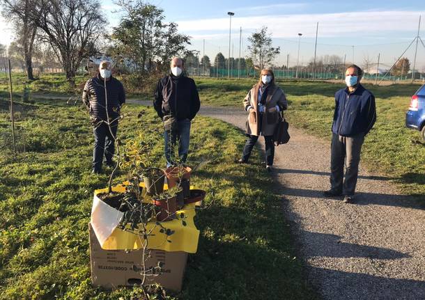 Uboldo, la Festa dell’albero si celebra con nuove piante per il giardino botanico comunale