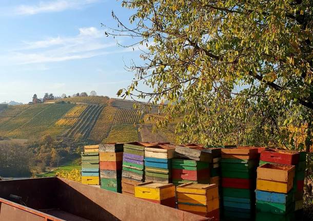 Wine tour tra i vigneti del Roero