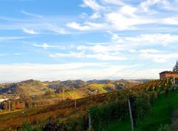 Wine tour tra i vigneti del Roero