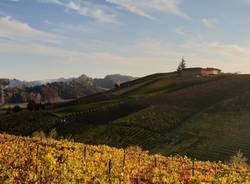 Wine tour tra i vigneti del Roero