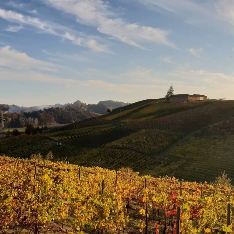 Wine tour tra i vigneti del Roero