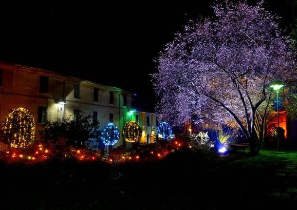 A Carnago la magia del Natale