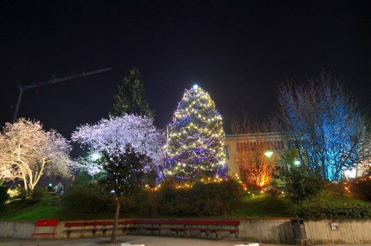 A Carnago la magia del Natale