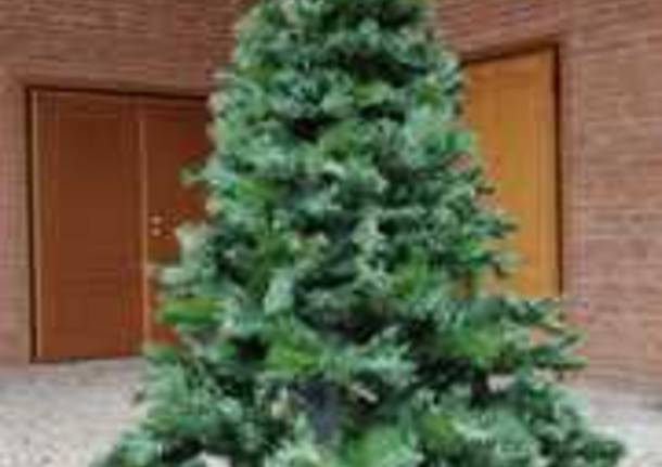 albero di Natale 2020 Nerviano