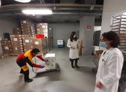 Arrivati all’ospedale di Varese i vaccini per il personale dei reparti covid e dei pronto soccorso