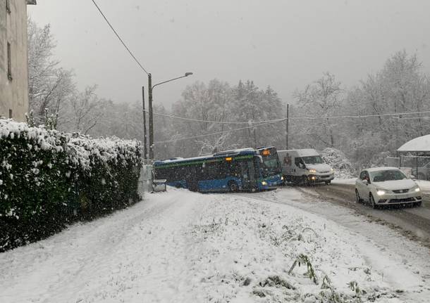 autobus jerago