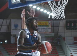 basket anthony beane