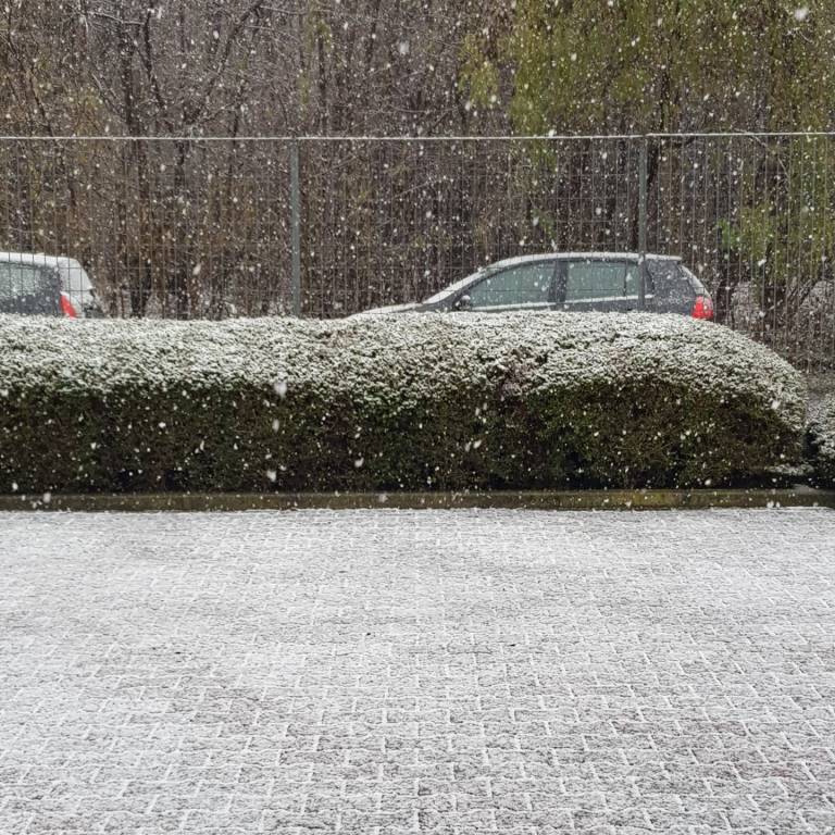 Basso Varesotto imbiancato dalla prima neve