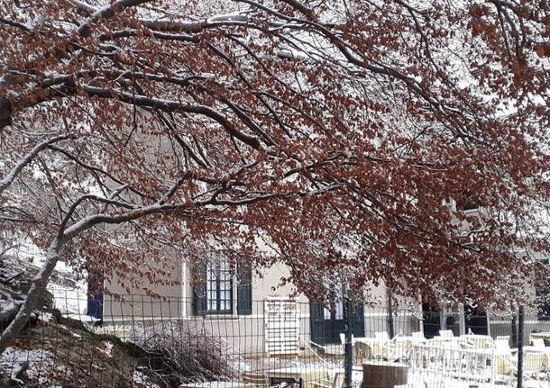 Basso Varesotto imbiancato dalla prima neve